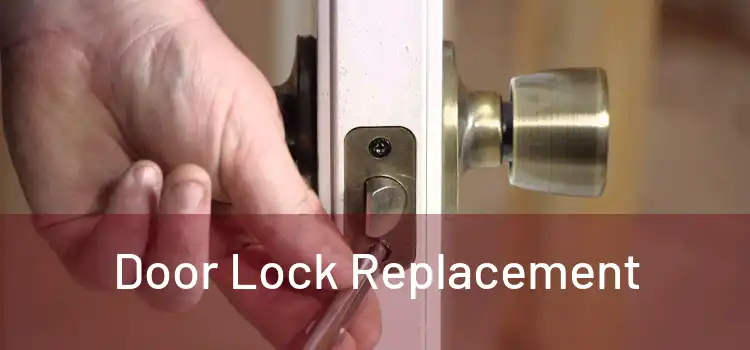  Door Lock Replacement 